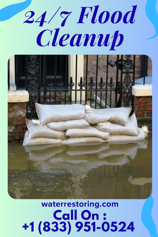 24/7 Flood Cleanup in Bellewood, KY