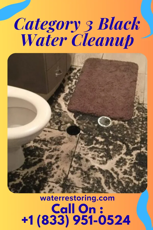Category 3 Black Water Cleanup in Bellewood, KY