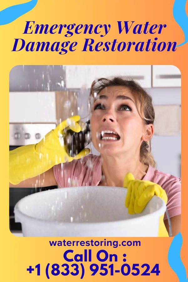 Emergency Water Damage Restoration in Bellewood, KY