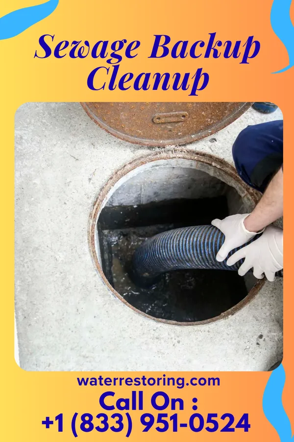 Sewage Backup Cleanup in Bellewood, KY