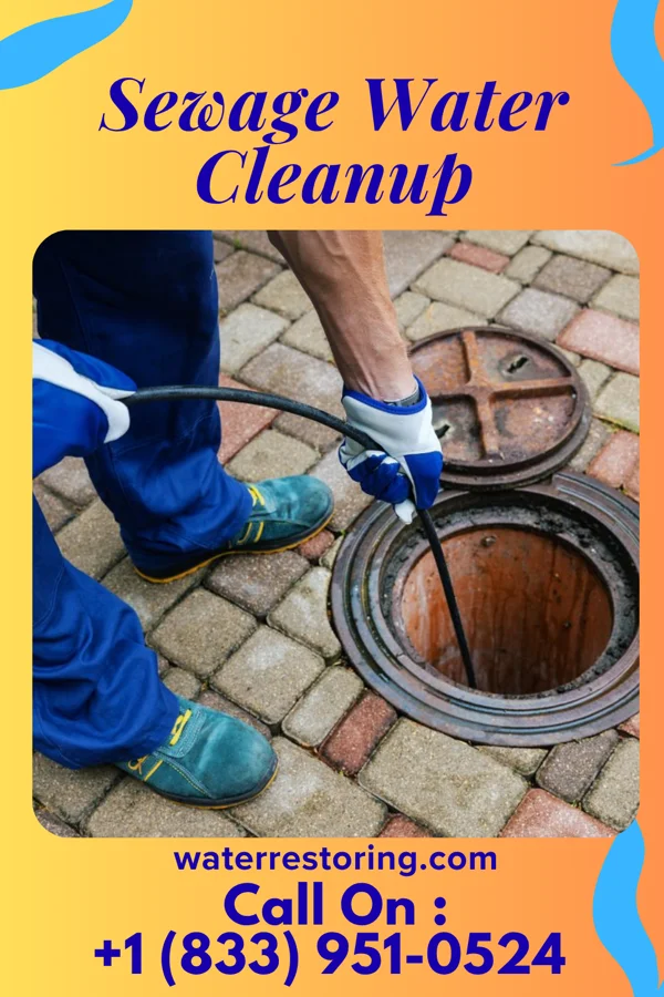 Sewage Water Cleanup in Bellewood, KY