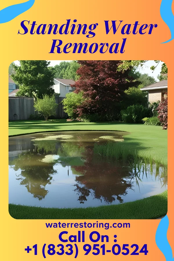 Standing Water Removal in Bellewood, KY